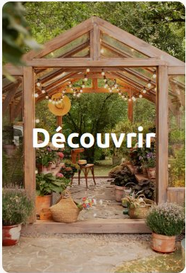 Découvrir