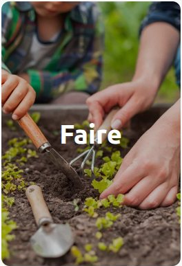Faire